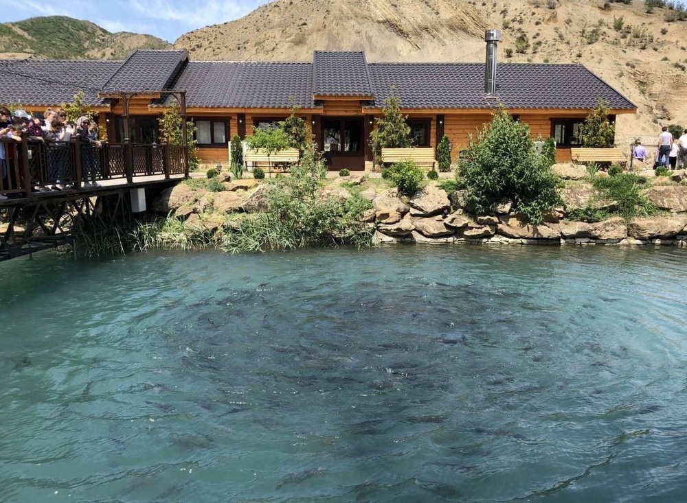 Натуральные продукты из фермерского клариевого сома для здорового питания всей семьи