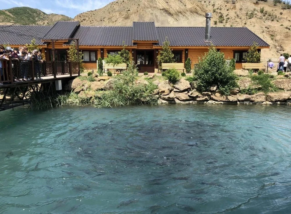 Натуральные продукты из фермерского клариевого сома для здорового питания всей семьи